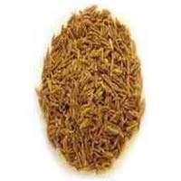 Cumin Seeds